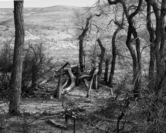 Jem Southam -The River Winter - The Eye of Photography Magazine