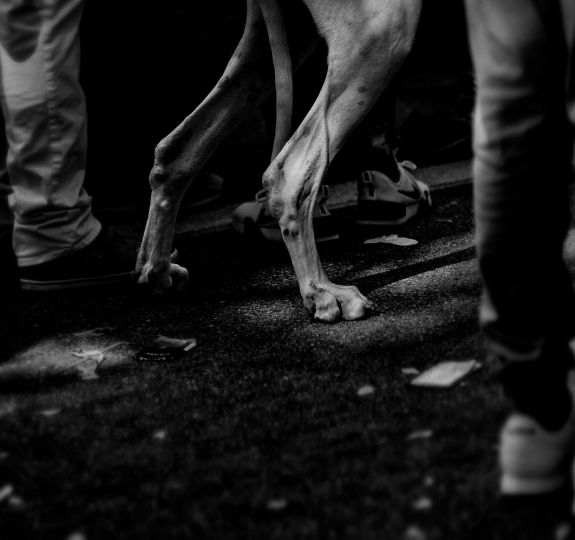 © Remon Diaz
