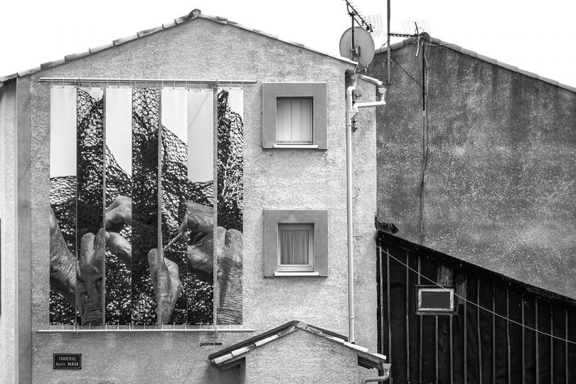 © Laurent Rebelle