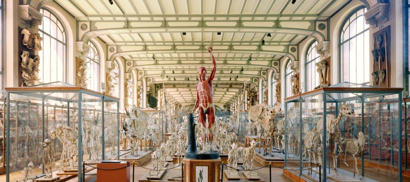 Animals, Ghosts and Images : Four Days at Łódź Fotofestiwal 2026