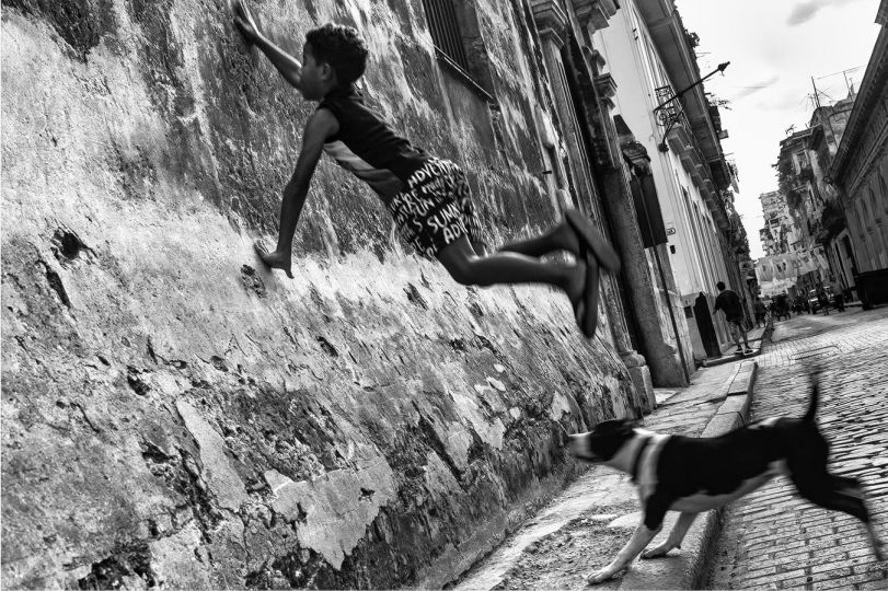Learning to survive © Luis Casadevall
