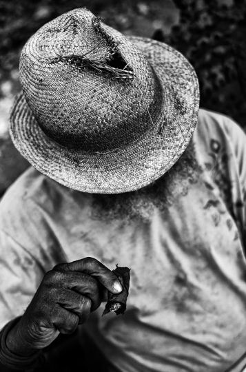 © Luis Casadevall