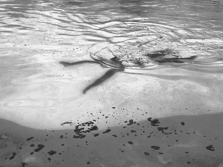 La part fluide du monde © Chloé Colin, Blick Photographie