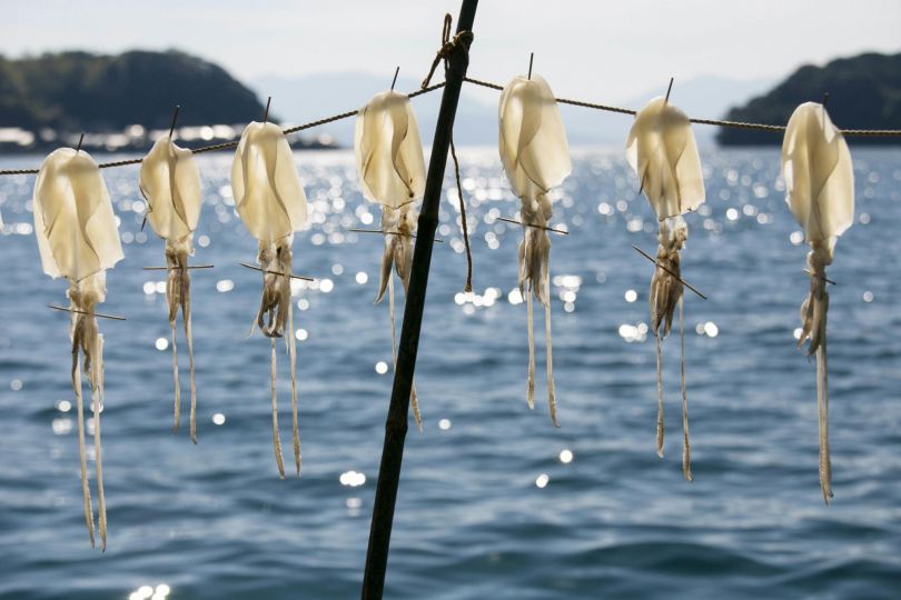 Albert Gonzalez, ne Fishing Village, Kyoto, Japan, 1st Cream of the Crop © Albert Gonzalez / World Food Photography Awards sponsored by Tenderstem® Bimi®