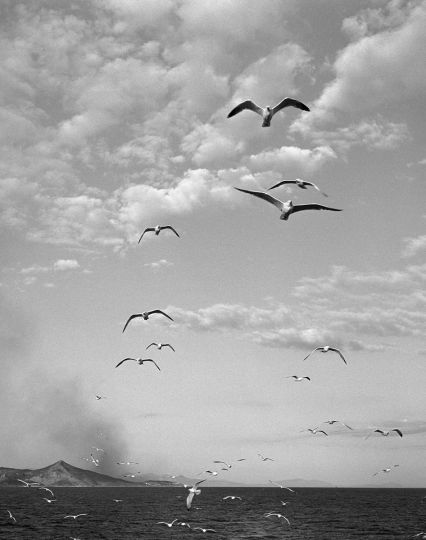 Herbert List - Aegean Sea, Greece, 1951 © Herbert List/Magnum Photos