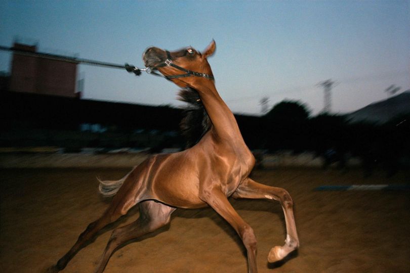 Before Freedom 3 © Adam Rouhana