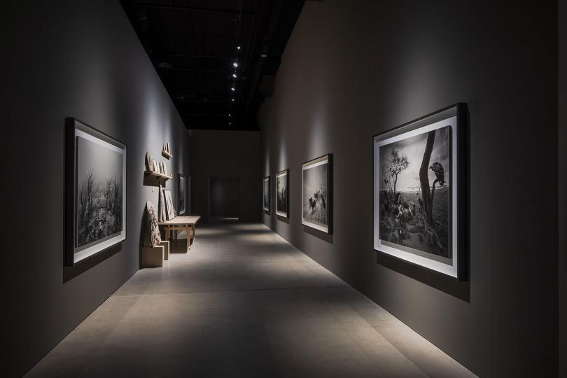 Exhibition view of Hiroshi Sugimoto’s fossil collection, as part of ‘Hiroshi Sugimoto_ Form Is Emptiness’. Image courtesy of Singapore Art Museum