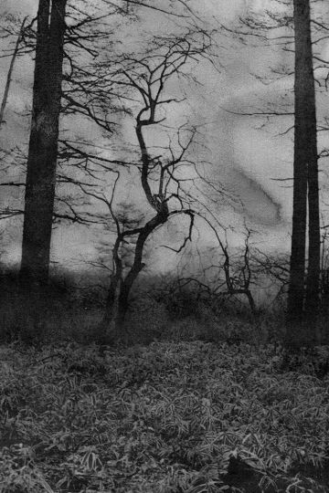 © Hajime Kimura