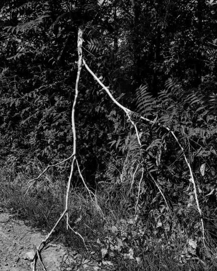 Si les fleuves pouvaient parler © Loïc Xavier