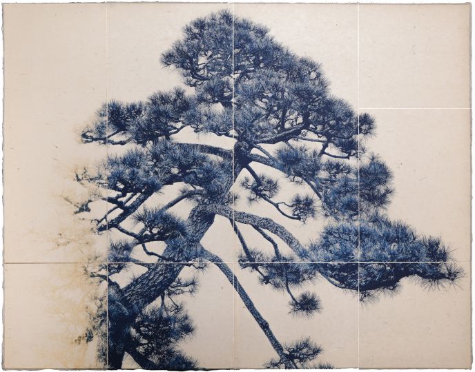 © Luca Ortis | OD Photo Prize Discovery | Shodo no.04, 2026