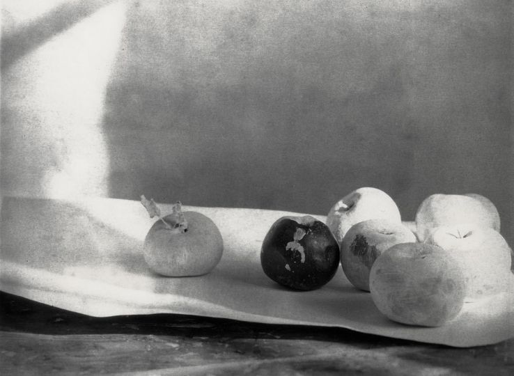 Nature morte aux pommes, Nogent sur Marne 2022 © Alexandra Catiere - Courtesy Prix Niépce Gens d'images 2026