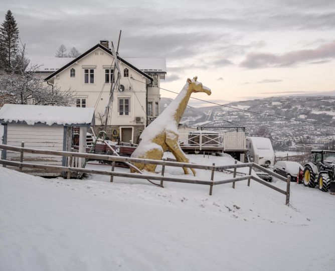 Observations of a New Norwegian Fauna © Helge Skodvin