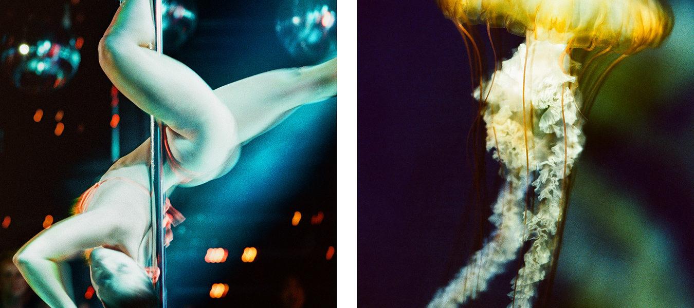 Elizabeth Waterman : Propulsion