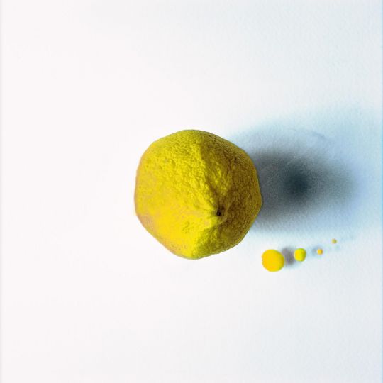 sans titre # 09 [récoltes composées] © 2026 Xavier d'Ornellas [courtesy Galerie vOx]