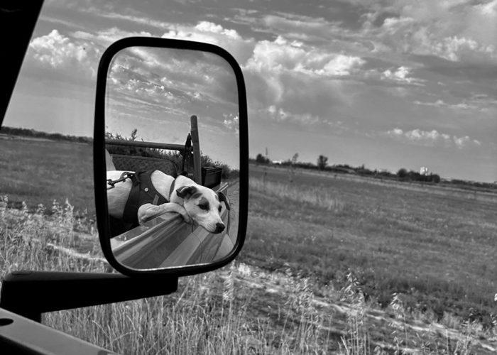 Summer is here ! Kristian Gavoille