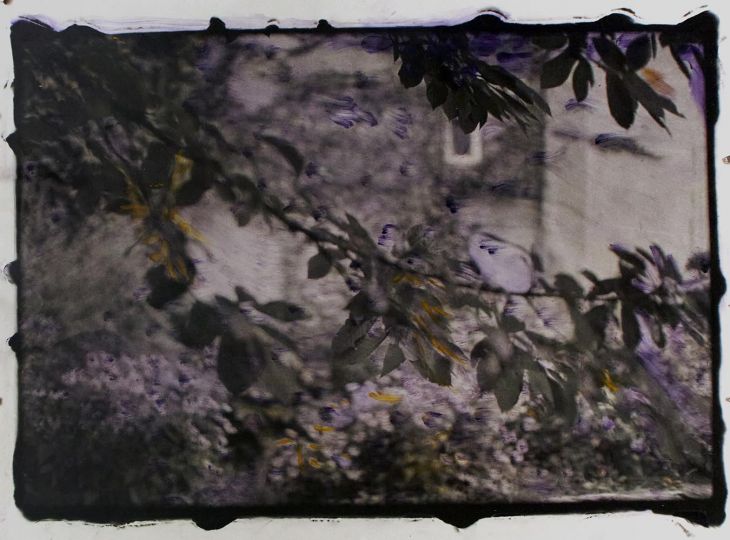 Ming Smith, Jardins de Harlem, 2022. Avec l’aimable autorisation de l’artiste.