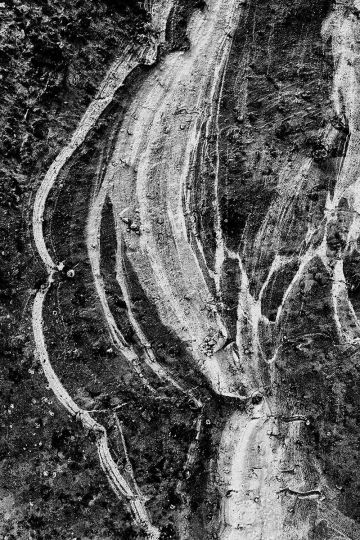 Camille-Renée Devid, Cartographier l’invisible, traces d’ADN, 2020-2025 Avec l’aimable autorisation de l’artiste.