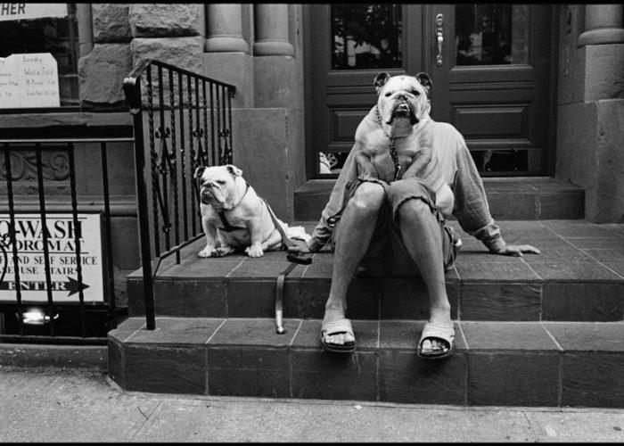 Arles 2026 : Animal Model - 200 Years of Photography