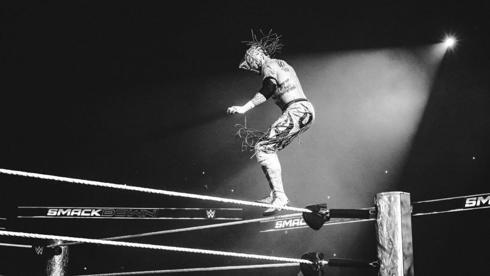 Flying Fenix - Ringside © Abigail Ekue Photography