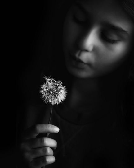 Fragility © Noémia Prada - Courtesy of the artist
