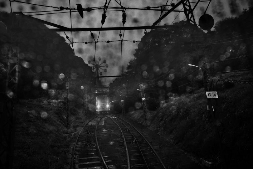 © Alain Willaume / Tendance Floue