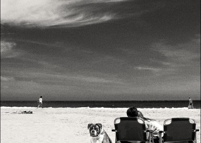 Summer is here ! Michel Fainsilber