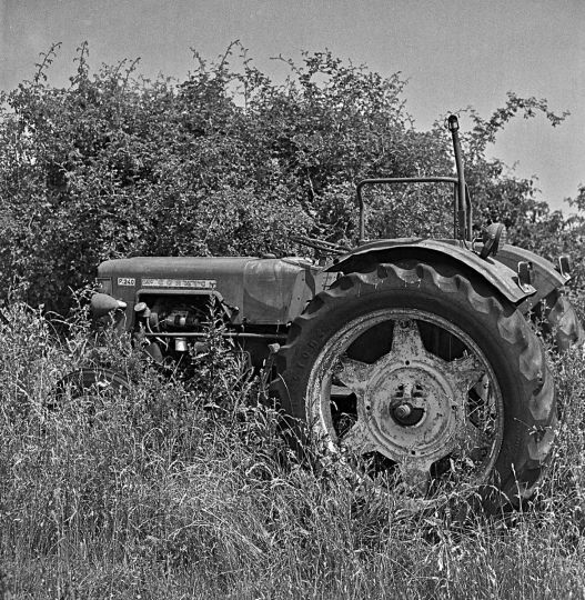 Tracteur d'antan film développé dans un révélateur conçu avec des feuilles de menthe et de la mélisse 20250609 © Jacques Revon