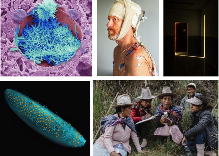 Call For Entries - Wellcome Photography Prize / Reimagining Health