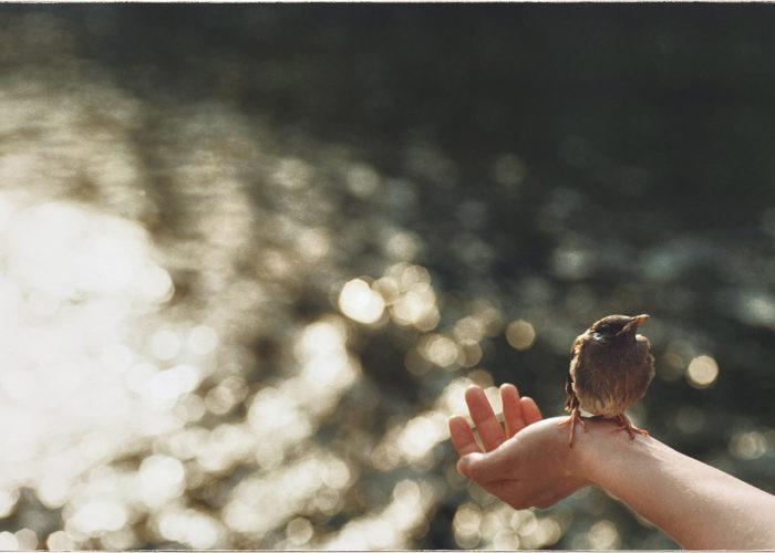 Summer is here ! Ning Kai & Sabrina Scarpa