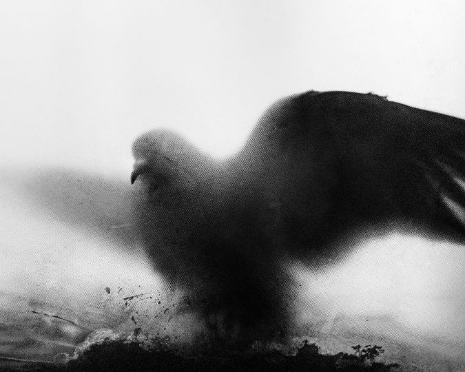Ozymandias © Aman Alam