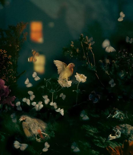 © Diego Fabro