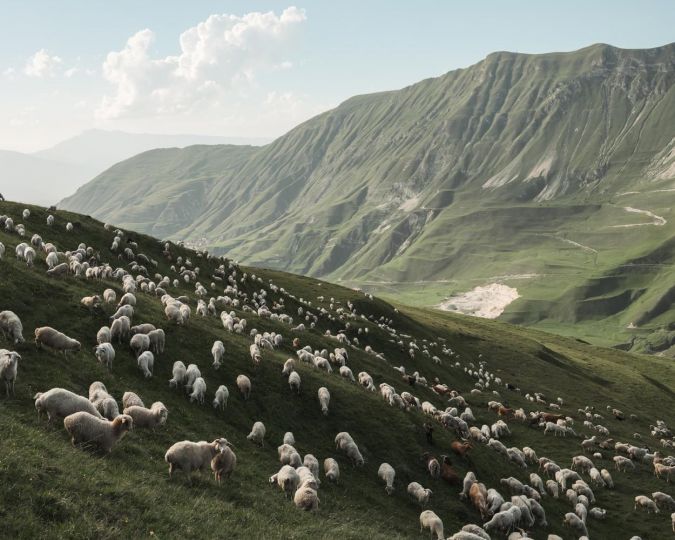 © Damir Faizulin - Preserving Nature as Preserving Ourselves