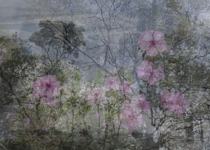 Catherine Li