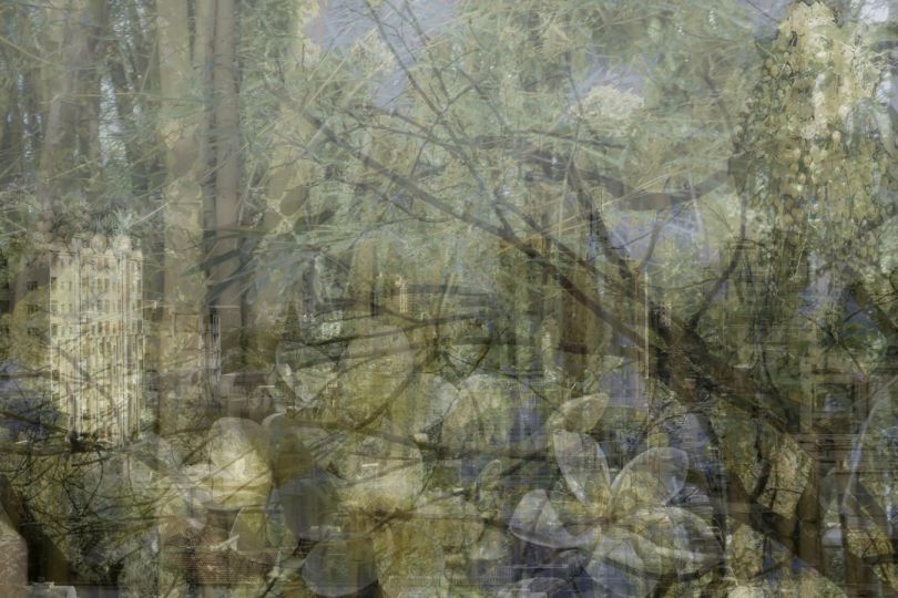 © Catherine Li