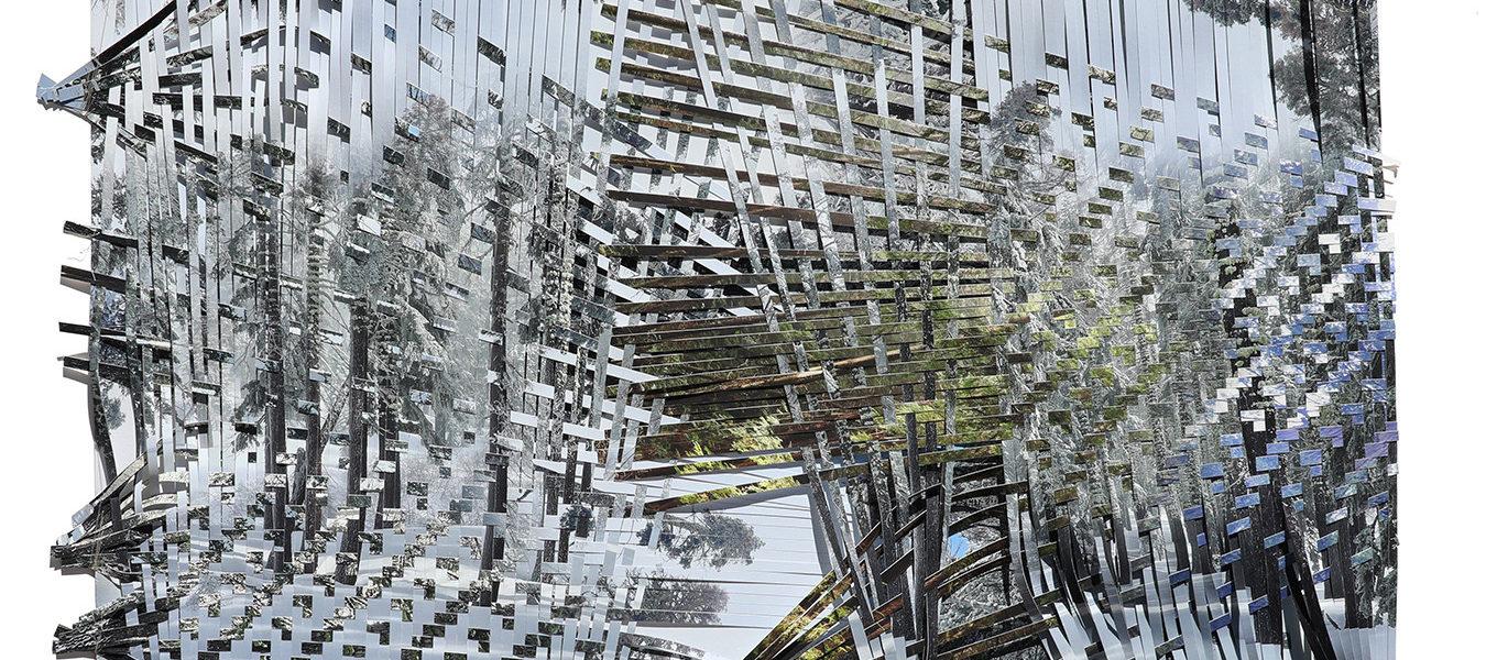 Bruce Silverstein Gallery : Sarah Sense : Land, Line, Blood, Memory