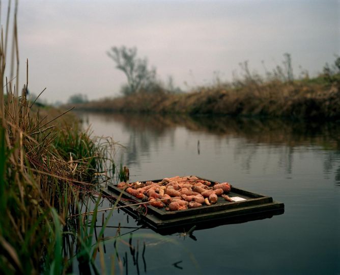 The Raft of Carrots 1987-1992. © Jem Southam