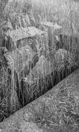 © Ato Misa