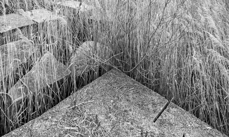 © Ato Misa