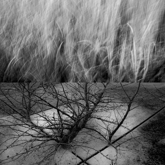 © Ato Misa