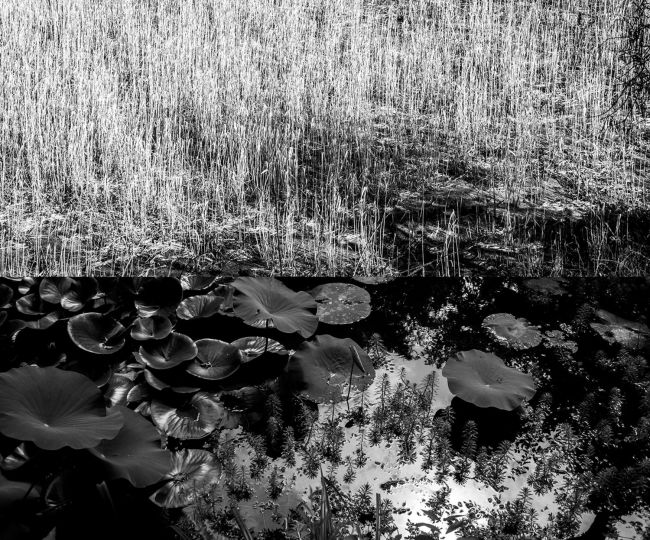 © Ato Misa