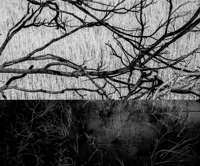 © Ato Misa