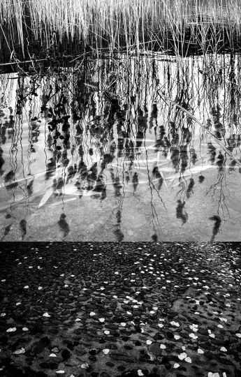 © Ato Misa