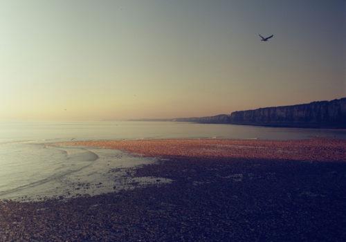 Vente de photographies